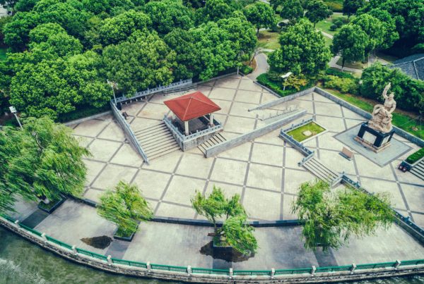 Tracing Roots to Canopies: The Evolution of Landscape Design